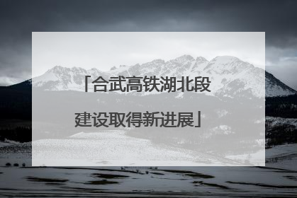 合武高铁湖北段建设取得新进展