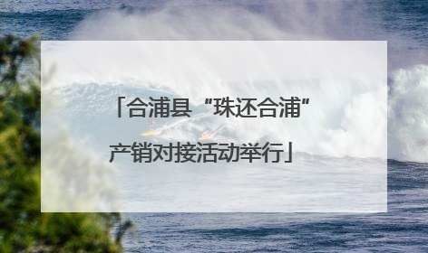 合浦县“珠还合浦”产销对接活动举行