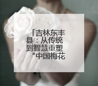 吉林东丰县：从传统到智慧重塑“中国梅花鹿之乡”