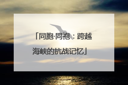 同胞·同袍：跨越海峡的抗战记忆