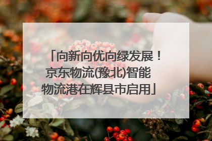 向新向优向绿发展！京东物流(豫北)智能物流港在辉县市启用