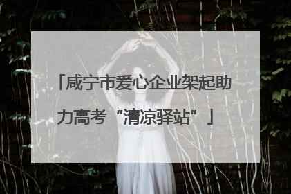 咸宁市爱心企业架起助力高考“清凉驿站”