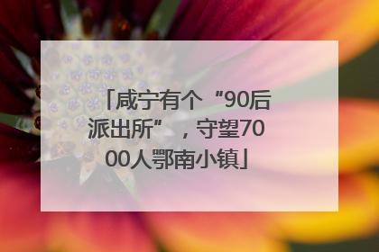 咸宁有个“90后派出所”，守望7000人鄂南小镇