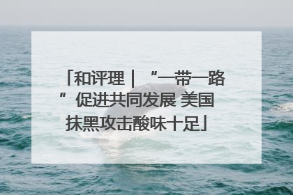 和评理｜“一带一路”促进共同发展 美国抹黑攻击酸味十足