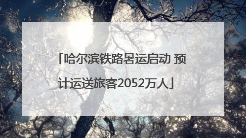 哈尔滨铁路暑运启动 预计运送旅客2052万人