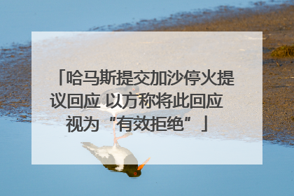 哈马斯提交加沙停火提议回应 以方称将此回应视为“有效拒绝”