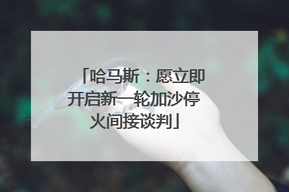 哈马斯：愿立即开启新一轮加沙停火间接谈判