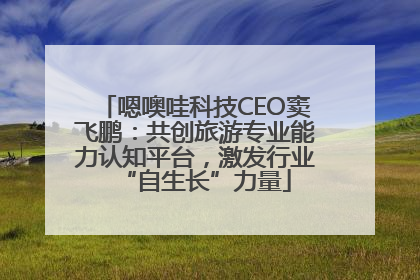 嗯噢哇科技CEO窦飞鹏：共创旅游专业能力认知平台，激发行业“自生长”力量