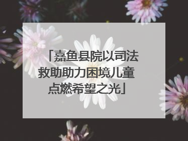 嘉鱼县院以司法救助助力困境儿童点燃希望之光