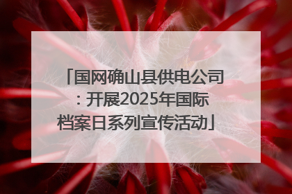 国网确山县供电公司：开展2025年国际档案日系列宣传活动