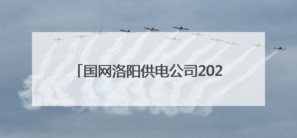 国网洛阳供电公司2025年社会责任发布会举行