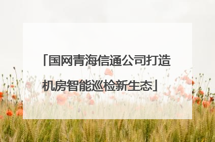 国网青海信通公司打造机房智能巡检新生态