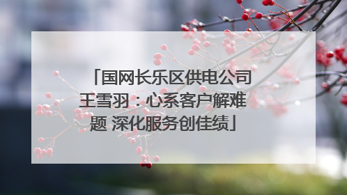 国网长乐区供电公司王雪羽：心系客户解难题 深化服务创佳绩