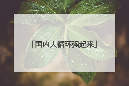 国内大循环强起来