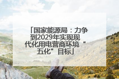 国家能源局：力争到2029年实现现代化用电营商环境“五化”目标
