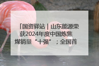 国资驿站｜山东能源荣获2024年度中国炼焦煤销量“十强”；全国首例铁路盖上智慧物流园钢结构主体完工