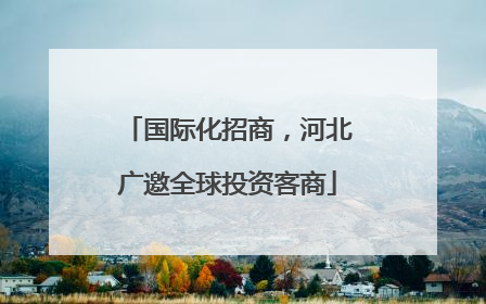 国际化招商，河北广邀全球投资客商