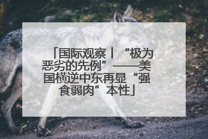 国际观察丨“极为恶劣的先例”——美国横逆中东再显“强食弱肉”本性