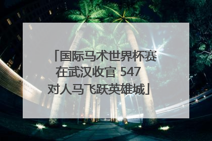 国际马术世界杯赛在武汉收官 547对人马飞跃英雄城