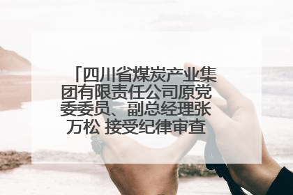 四川省煤炭产业集团有限责任公司原党委委员、副总经理张万松 接受纪律审查和监察调查