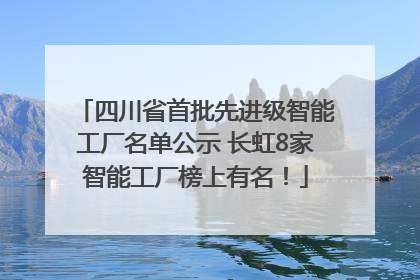 四川省首批先进级智能工厂名单公示 长虹8家智能工厂榜上有名！