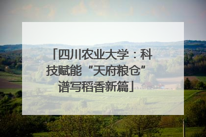 四川农业大学：科技赋能“天府粮仓”谱写稻香新篇