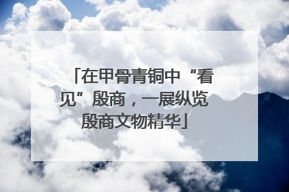 在甲骨青铜中“看见”殷商，一展纵览殷商文物精华