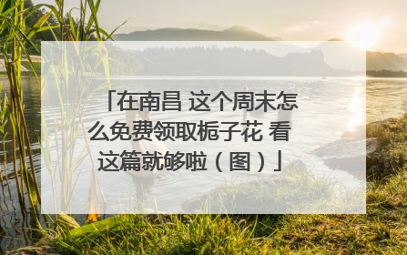 在南昌 这个周末怎么免费领取栀子花 看这篇就够啦（图）