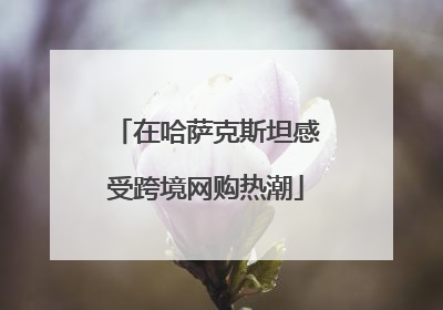 在哈萨克斯坦感受跨境网购热潮