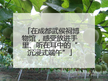 在成都武侯祠博物馆，感受放进手里、听在耳中的“沉浸式端午”