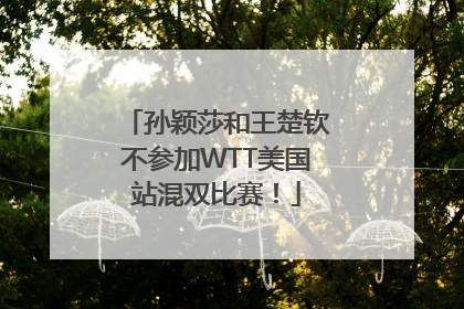 孙颖莎和王楚钦不参加WTT美国站混双比赛！
