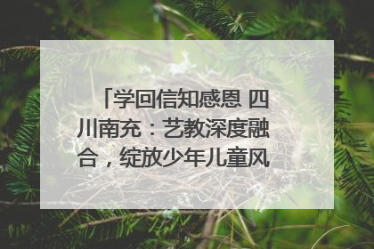 学回信知感恩 四川南充：艺教深度融合，绽放少年儿童风采｜您牵挂的四川
