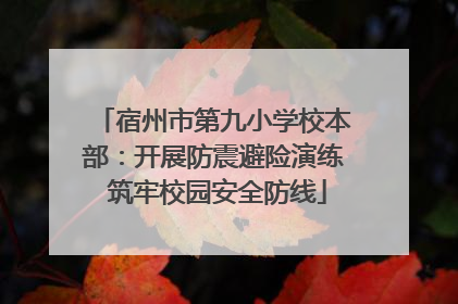 宿州市第九小学校本部：开展防震避险演练 筑牢校园安全防线
