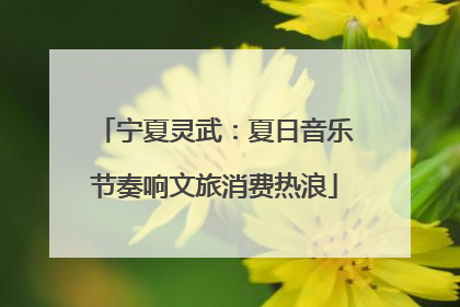 宁夏灵武：夏日音乐节奏响文旅消费热浪