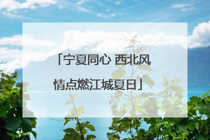 宁夏同心 西北风情点燃江城夏日