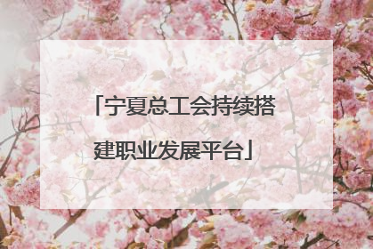 宁夏总工会持续搭建职业发展平台