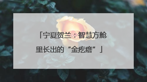 宁夏贺兰：智慧方舱里长出的“金疙瘩”