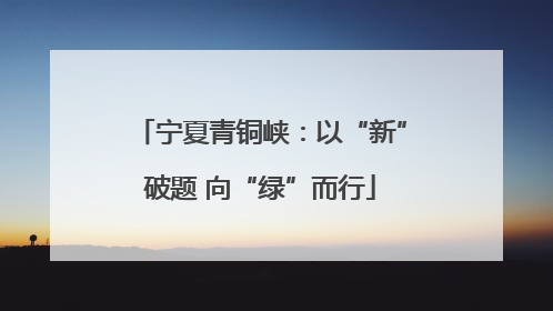 宁夏青铜峡：以“新”破题 向“绿”而行