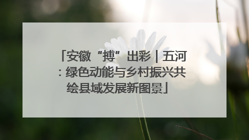 安徽“搏”出彩｜五河：绿色动能与乡村振兴共绘县域发展新图景