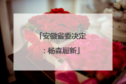 安徽省委决定：杨森履新