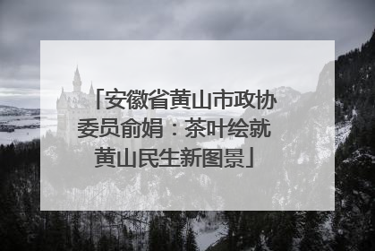 安徽省黄山市政协委员俞娟：茶叶绘就黄山民生新图景