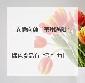 安徽向前｜亳州涡阳：绿色食品有“引”力