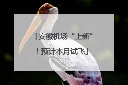 安徽机场“上新”！预计本月试飞