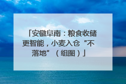 安徽阜南：粮食收储更智能，小麦入仓“不落地”（组图）