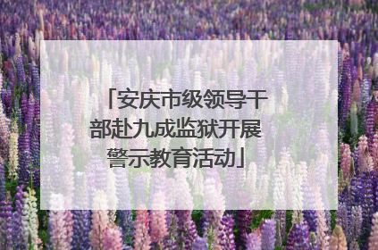安庆市级领导干部赴九成监狱开展警示教育活动