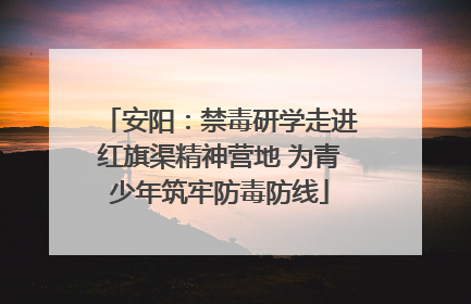 安阳：禁毒研学走进红旗渠精神营地 为青少年筑牢防毒防线