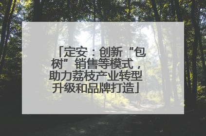 定安：创新“包树”销售等模式，助力荔枝产业转型升级和品牌打造