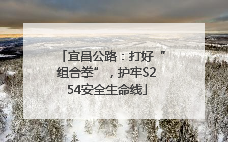 宜昌公路：打好“组合拳”，护牢S254安全生命线