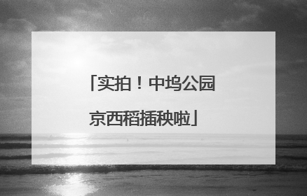 实拍！中坞公园京西稻插秧啦
