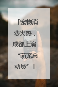 宠物消费火热，成都上演“萌宠总动员”